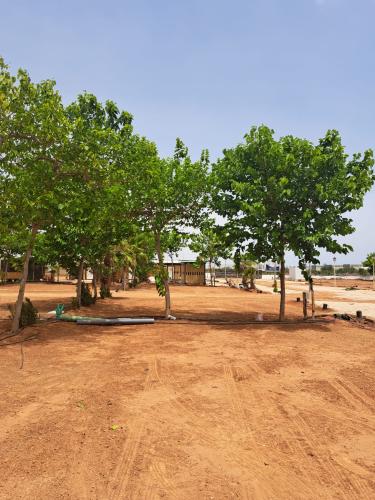 Detalle de Enorme parcela en Camping de Oropesa del Mar