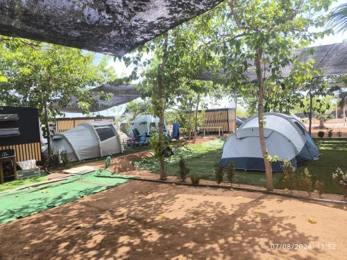 Parcela de camping con tienda Decathlon, con sombra y cesped artificial