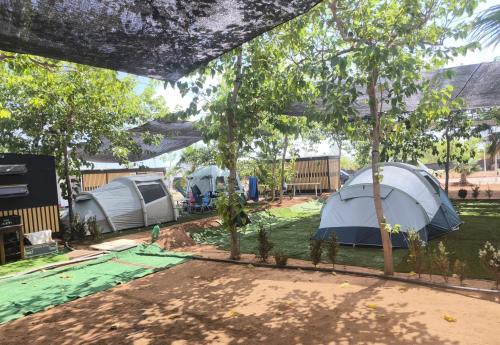 Parcela XXL de camping con tiendas y cesped. Disponen de sombra con toldo en julio y agosto