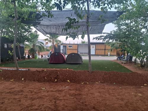 Tiendas Iglu en parcela XXL en Camping Oro Verde, Oropesa del Mar